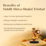 Kashi Siddh Shiva Shakti Trishul - Image 6