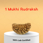 1 Mukhi Rudraksh - Image 3