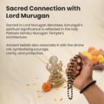 Silver Capped Karungali Malai – with Free Karungali Bracelet Gift (Govt. Certified) - Image 11