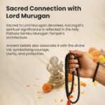 Karungali Malai (8mm) – With Free Karungali Bracelet( Govt. Certified) - Image 6