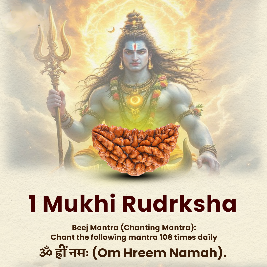 IMG_20260202_161124 1 Mukhi Rudraksh - Image 1
