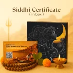 Kashi Siddh Shiva Shakti Trishul - Image 3