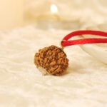 8 Mukhi Rudraksha - 18mm - 22mm - Image 11