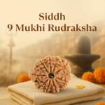 9 Mukhi Original Nepali Rudraksha - Image 7