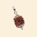 14 Mukhi Natural Nepali Rudraksha - Image 10