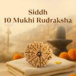 10 Mukhi Rudraksha Nepal Origin - Image 2