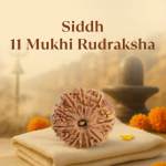 11 Mukhi Rudraksha Nepal Origin - Image 7
