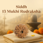13 Mukhi Rudraksha Nepal Origin - Image 8