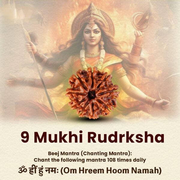 9 Mukhi Original Nepali Rudraksha