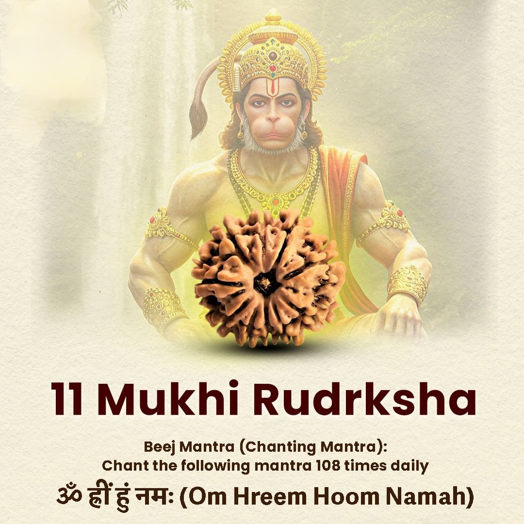 Oplus_16908288 11 Mukhi Rudraksha Nepal Origin - Image 1