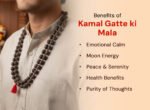 Kamal Gatta MalaLotus Seed Jaap Mala 108 Beads (Kamal Gatta) - Image 8
